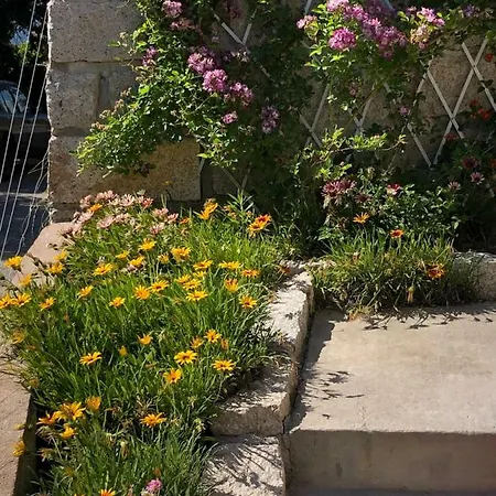 Vacances Au Coeur De La Vallee Du Taravo *